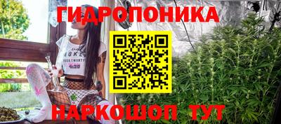 jwh Будённовск