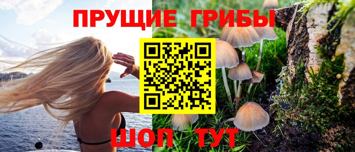 Первоуральск  Галлюциногенные грибы мухоморы  Вход с VPN 